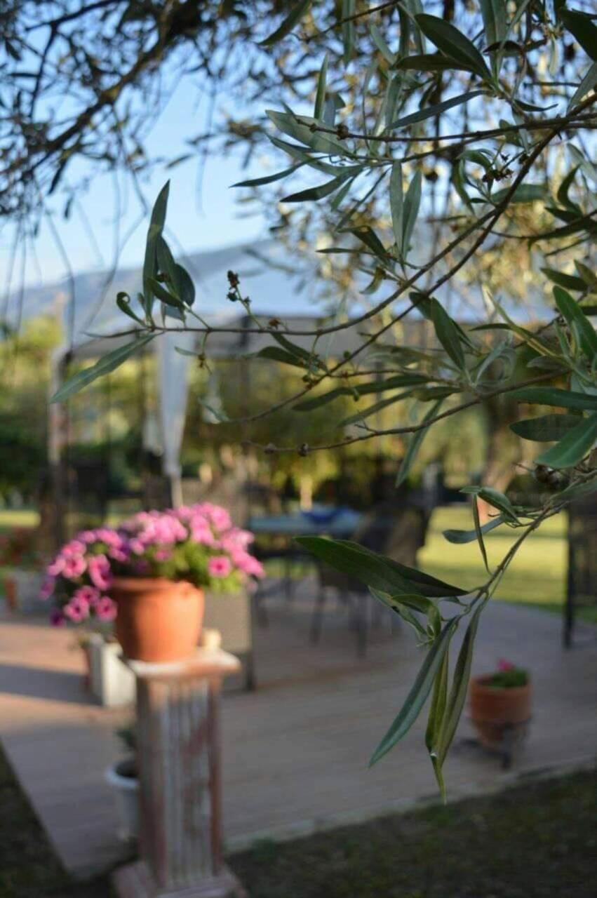 Sunny Garden Apartamento Platariá Exterior foto